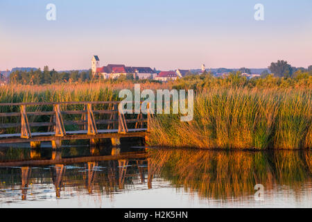 Federsee See Bad Buchau mit dem Morgenlicht, Federsee See moor, Oberschwaben, Swabia, Baden-Württemberg, Deutschland Stockfoto