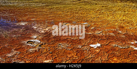 Primel Terrasse im Wai-O-Tapu Thermalgebiet Waiotapu, Rotoua, Region Waikato, Neuseeland Stockfoto