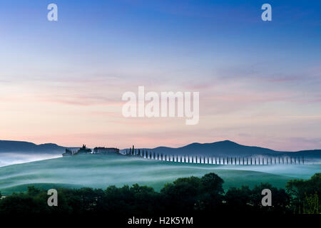 Typische grüne toskanische Landschaft in Bagno Vignoni, Val d ' Orcia mit einer Farm auf einem Hügel, Felder, Zypressen, Bäume und Morgen Nebel Stockfoto