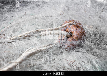 Fischernetz mit Schwimmern. Extreme Nahaufnahme. Flachen DOF Stockfoto