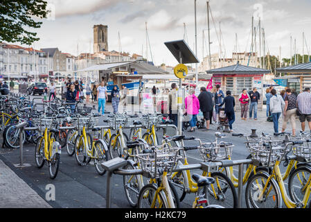 Gelbe Fahrräder zu vermieten in La Rochelle, Region Poitou-Charentes, Departement Charente-Maritime, Frankreich Stockfoto