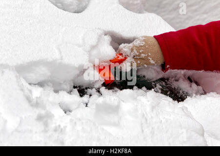 Eine Frau benutzt ein Eiskratzer, um Schnee und Eis im Winter von ihrem Auto Windschutzscheibe zu entfernen. Warminster, Wiltshire, Vereinigtes Königreich. Stockfoto