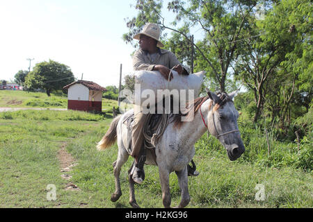 Kubanische Bauer Stockfoto