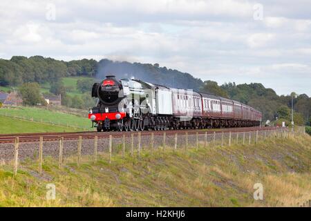 Flying Scotsman Dampflok. Haltwhistle, Newcastle & Carlisle Railway, Whitchester, Northumberland, England, Vereinigtes Königreich. Stockfoto