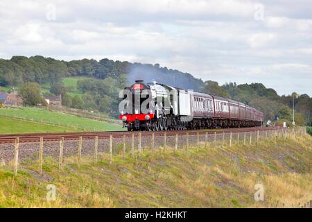 Flying Scotsman Dampflok. Haltwhistle, Newcastle & Carlisle Railway, Whitchester, Northumberland, England, Vereinigtes Königreich. Stockfoto