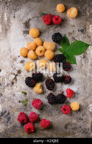 Haufen von bunten gelben und roten Himbeeren und schwarzen Kratzbeere mit Blatt über nasse Alteisen strukturierten Hintergrund. Draufsicht mit c Stockfoto