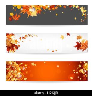 Reihe von Bannern mit Ahorn-Blätter Stock Vektor