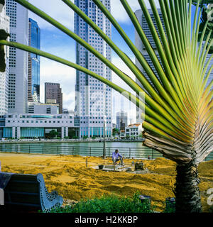 Arbeiter bauen North Boat Quay Pflaster, des Reisenden Baum und zentraler Geschäft Bezirk Wolkenkratzer, Singapur Stockfoto