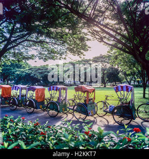 Trishaws mieten, Singapur, Asien Stockfoto