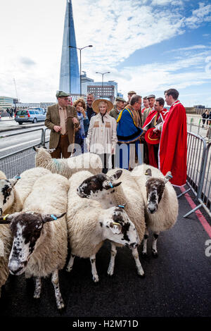 Worshipful Company der Woolmen des jährlichen Schafe fahren quer durch London Bridge, London, UK Stockfoto