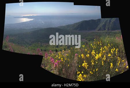 Blick vom Vesuv Stockfoto