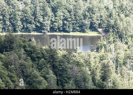 Rachelsee Bergsee mit Wald um im Bayerischen Wald berge Balg gröberen Rachel Hill in Bayern Stockfoto