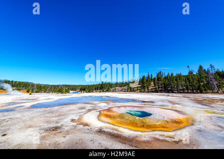 Weitwinkelaufnahme des chromatischen Pool im Yellowstone National Park Stockfoto