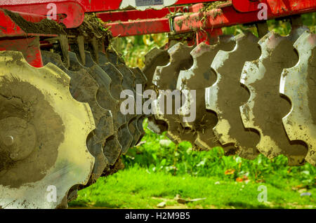 Disk Harrow sitzen im grünen Plantage Stockfoto