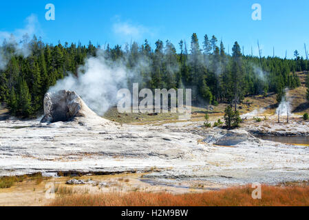 Blick auf riesiger Geysir in Upper Geyser Basin im Yellowstone National Park Stockfoto