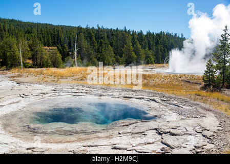 Blick auf die Spa-Geysir in Upper Geyser Basin im Yellowstone National Park Stockfoto