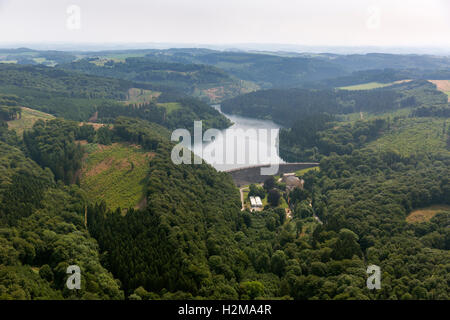 Antenne zu sehen, Hasper Talsperre, Hagen, Hagen, Stausee, Talsperre, Insel, Wald, Natur, Laubwald Luftbild Luftaufnahme Stockfoto