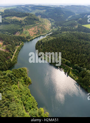 Antenne zu sehen, Hasper Talsperre, Hagen, Hagen, Stausee, Talsperre, Insel, Wald, Natur, Laubwald Luftbild Luftaufnahme Stockfoto