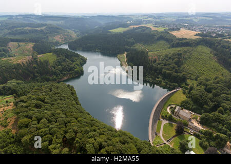 Antenne zu sehen, Hasper Talsperre, Hagen, Hagen, Stausee, Talsperre, Insel, Wald, Natur, Laubwald Luftbild Luftaufnahme Stockfoto