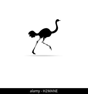 Bildzeichen der Strauß isoliert auf weißem Hintergrund für design Stock Vektor