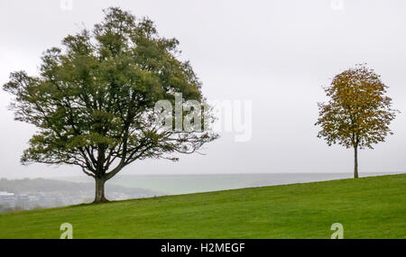 Frau zu Fuß auf den South Downs in der Nähe von einem einsamen Baum Stockfoto