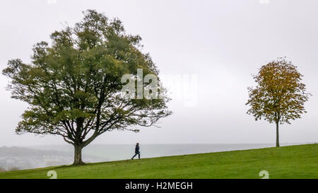 Frau zu Fuß auf den South Downs in der Nähe von einem einsamen Baum Stockfoto