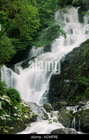 Torc Wasserfall in Killarney National Park, County Kerry, Irland, Europa Stockfoto