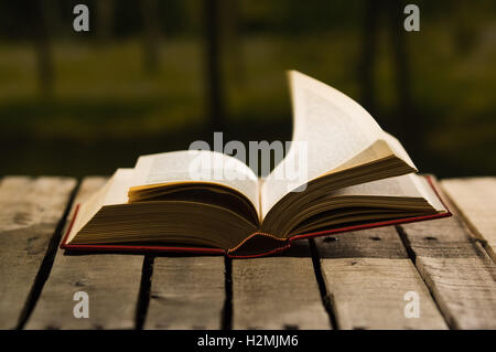 Dickes Buch liegen offen auf Holzoberfläche, Seiten wehen im Wind, schönes Nachtlicht einstellen, Magiekonzept schießen Stockfoto