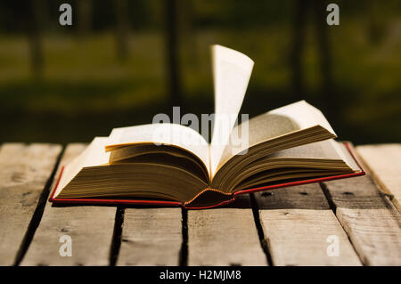 Dickes Buch liegen offen auf Holzoberfläche, Seiten wehen im Wind, schönes Nachtlicht einstellen, Magiekonzept schießen Stockfoto