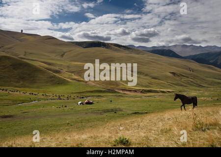 Grasende Pferde und Rinder im Stream bei Jurte Haus in Assy-Turgen Plateau Kasachstan mit Sternwarte Stockfoto