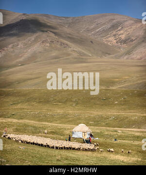 Familie mit Jurte und Schafen in abgelegenen Assy-Turgen-Plateau Kasachstan Herding Stockfoto