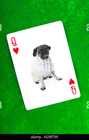 Little Queen Stockfoto