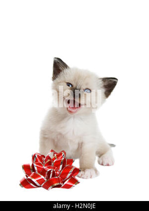 Ein Weihnachtslied zu singen Stockfoto