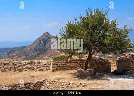 Einsamer Baum wächst in den Ruinen einer alten Festung Akrokorinth antiken gegen den blauen Himmel und hohen Bergen. Stockfoto