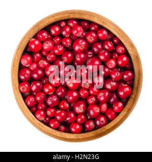 Preiselbeeren in einer Holzschale auf weißem Hintergrund. Roten reifen Früchten von Vaccinium Vitis-Idaea, auch Beerentorte oder Preiselbeere. Stockfoto