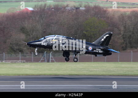 XX240, eine BAe Hawk T1 von der Royal Navy am Prestwick Flughafen während der Übung Joint Warrior 15-1 betrieben. Stockfoto