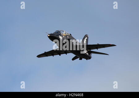 XX240, eine BAe Hawk T1 von der Royal Navy am Prestwick Flughafen während der Übung Joint Warrior 15-1 betrieben. Stockfoto