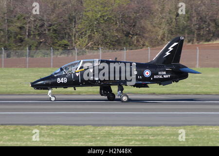 XX316, eine BAe Hawk T1 von der Royal Navy am Prestwick Flughafen während der Übung Joint Warrior 15-1 betrieben. Stockfoto