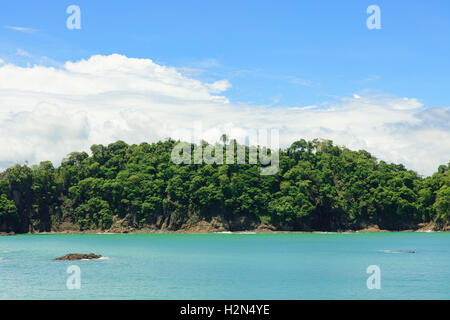 Meer und Wald Klippe Manuel Antonio Costa Rica Stockfoto