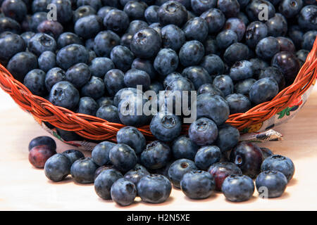 Heidelbeeren in Korb Stockfoto