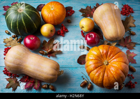 Thanksgiving-Konzept mit Kürbisse und Blätter auf blauem Hintergrund aus Holz. Thanksgiving-Hintergrund mit Saisongemüse und f Stockfoto