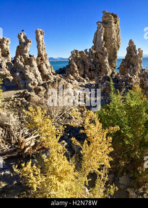 Farben des Herbstes vor der Tuffstein Türme am Mono Lake, Kalifornien Stockfoto