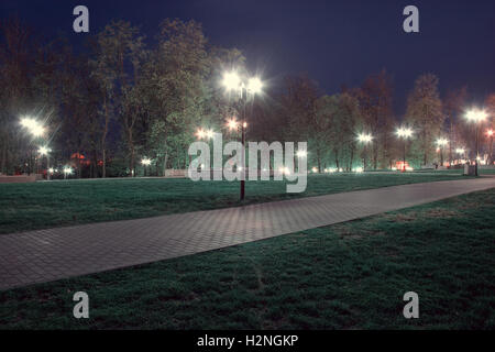 Nachtlampen Parken: ein Blick auf eine Gasse (Gehweg, Weg) in einem Park mit Bäumen und dunklen Himmel als Hintergrund an einem Sommerabend. Stockfoto