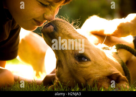 Ein Junge, der seinen Hund kuscheln Stockfoto
