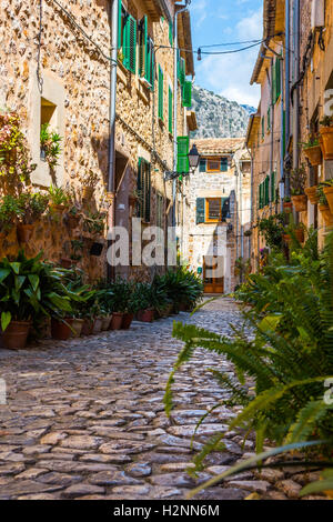 Pflanze Street in Valldemossa, Mallorca Stockfoto