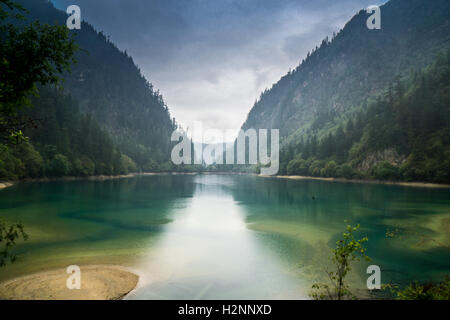 Panda Lake Jiuzhaigou Stockfoto