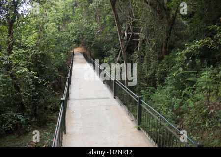 Sharavathi Abenteuer Camp Dschungel-Lodges mit seinem Fluss deck Dschungel Gehweg und schöne Ferienhäuser Stockfoto