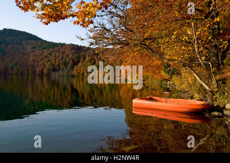 Lac Pavin See, Puy-de-Dôme, Region Auvergne, Frankreich Stockfoto