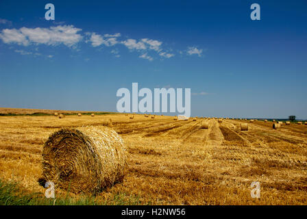 Strohballen in Landschaft, Region Auvergne, Frankreich, Europa Stockfoto