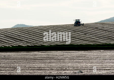 Traktor in einem Feld, Region Auvergne, Frankreich, Europa Stockfoto